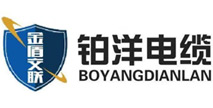 铂洋电缆有限公司